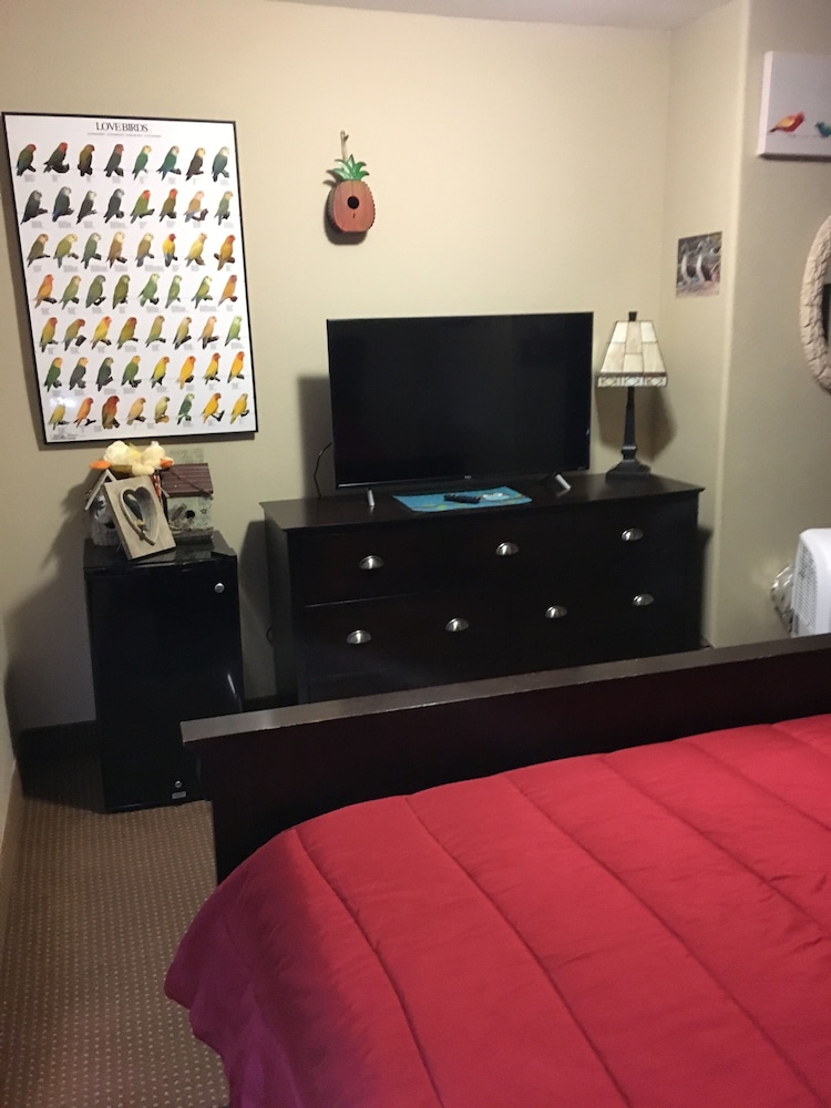 Hotel Cazan