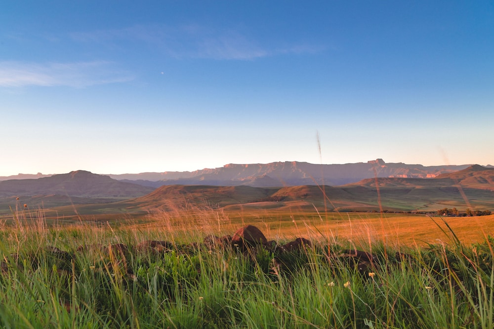 Montusi Mountain Lodge