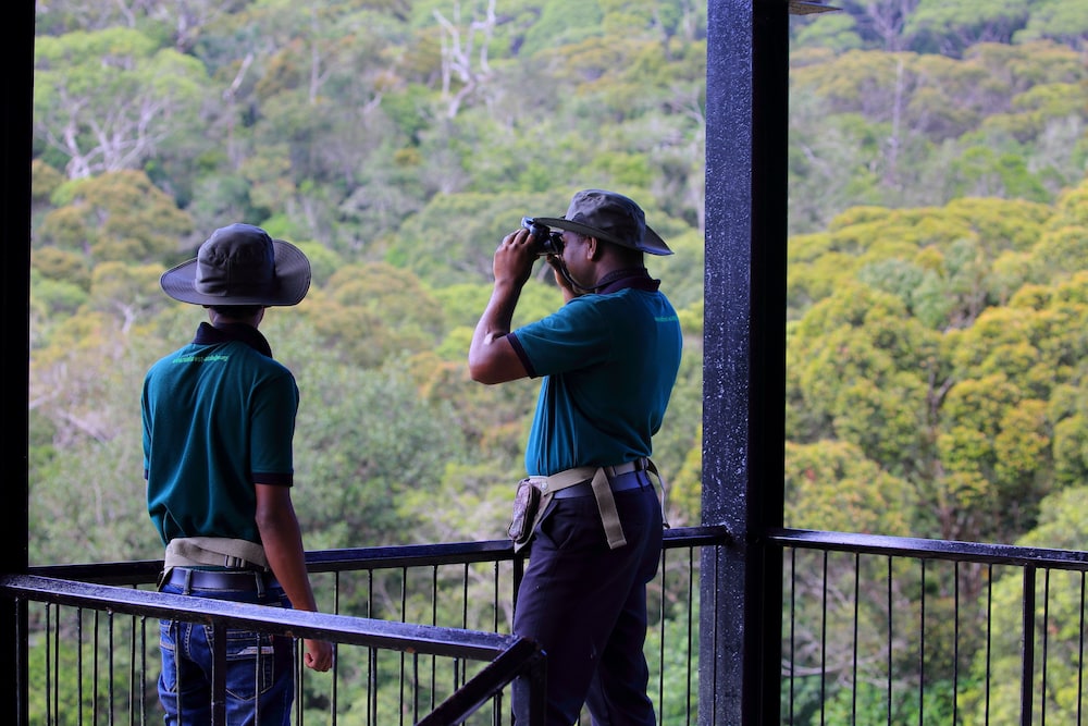 The Rainforest Ecolodge