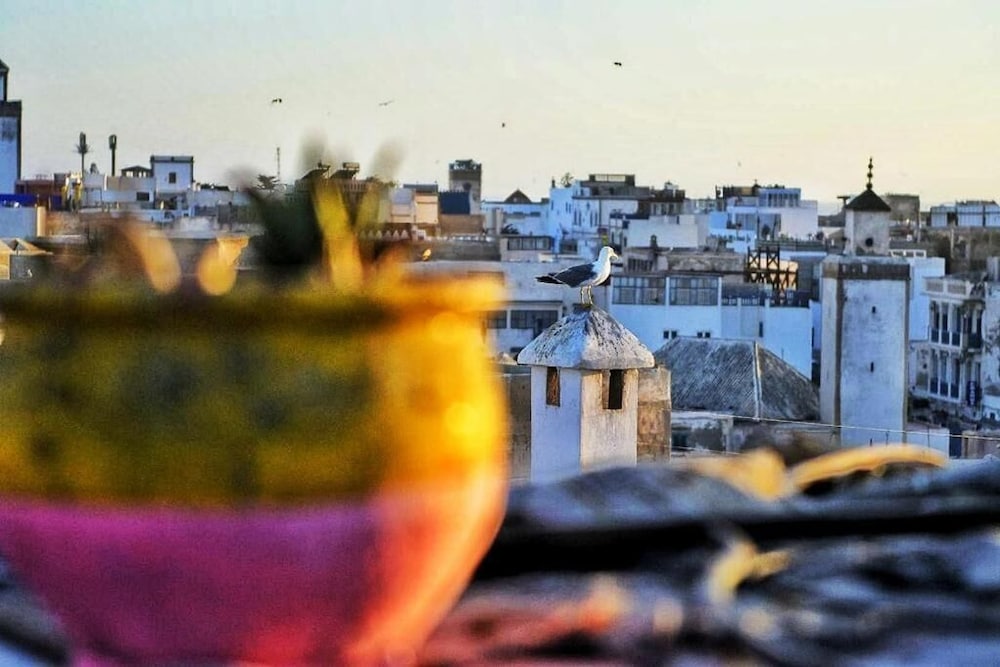 roof