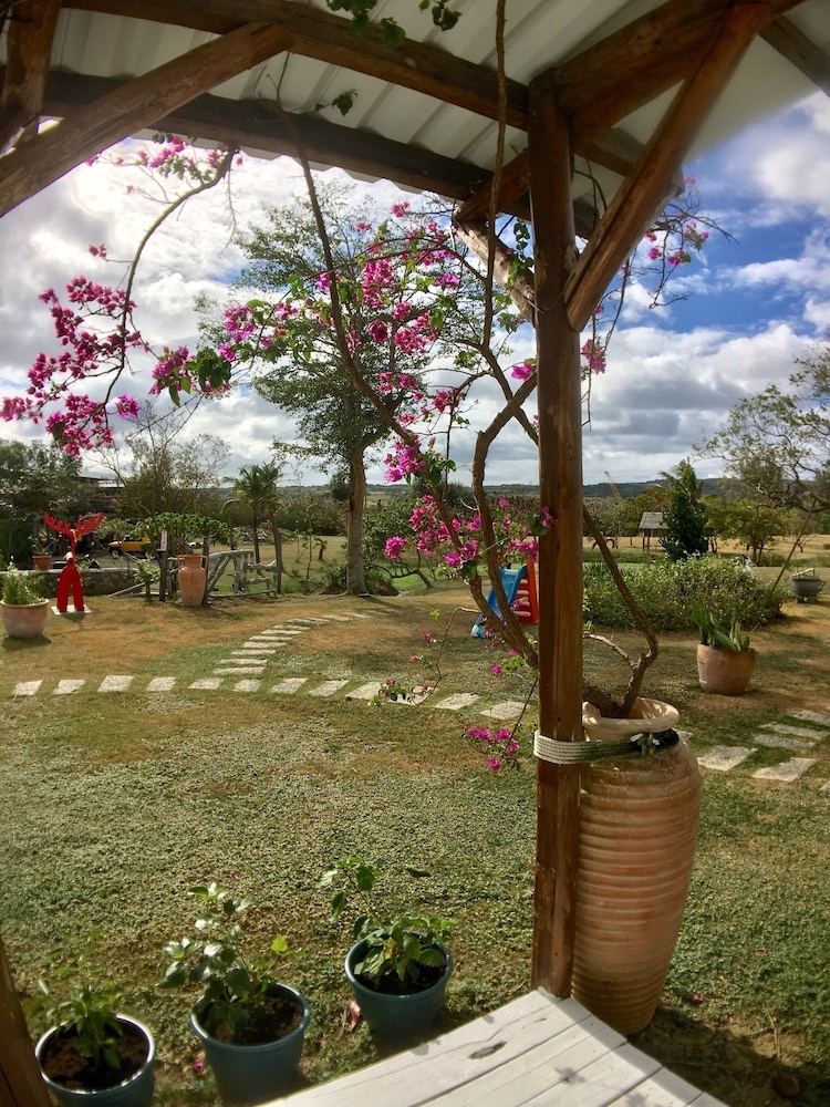 Wild Island B&B
