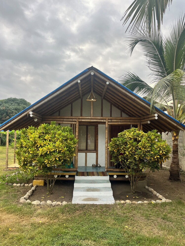 Tree of Life - Hostel