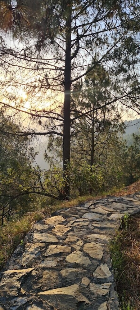 Jaseelo Camps near Tehri Lake