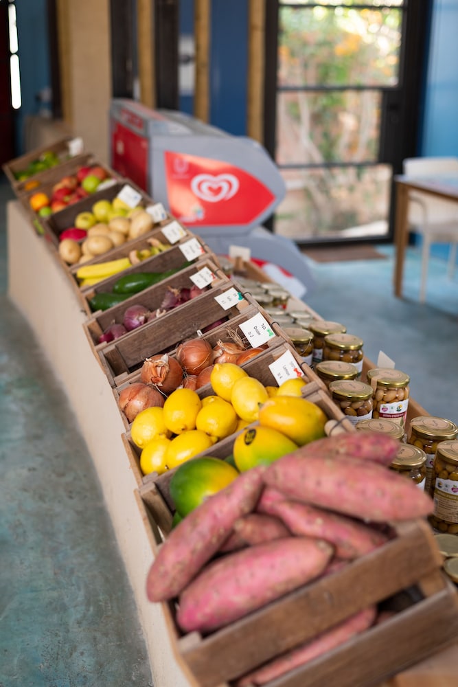 Carmey Avdat Farm