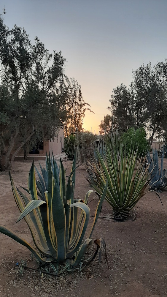 Riad Jardin des Orangers