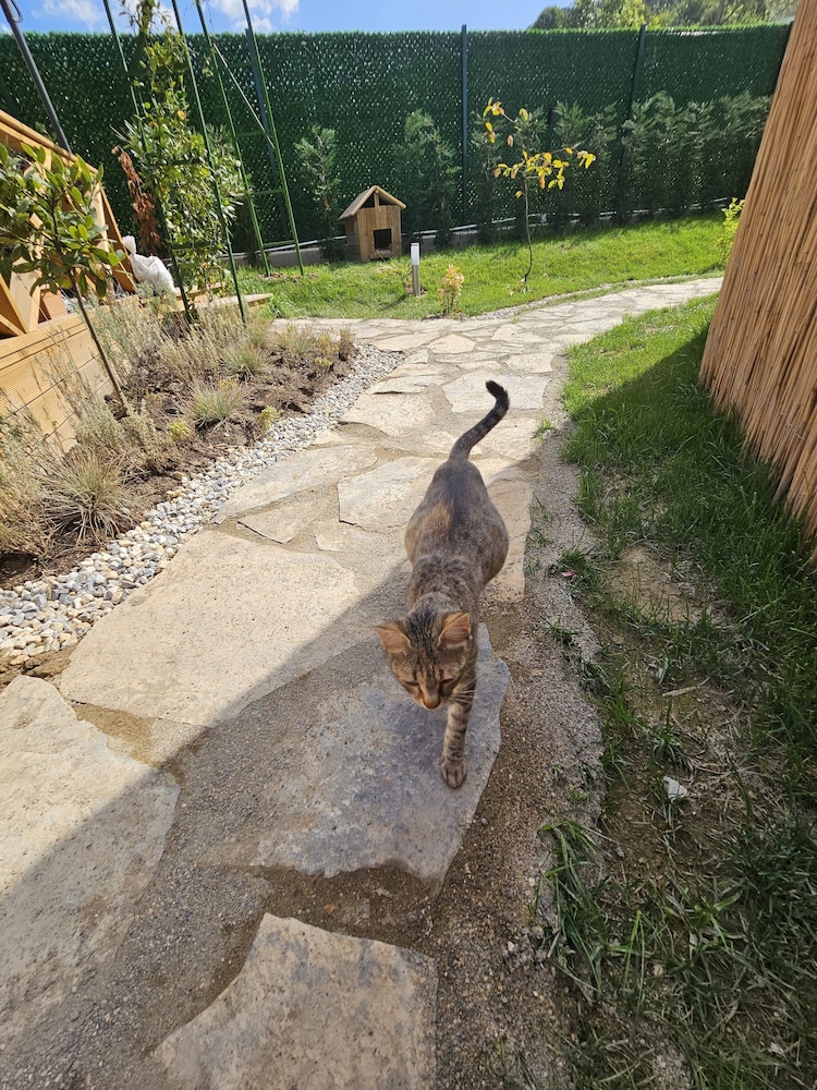 Teona Kartepe Bungalov - Image 40