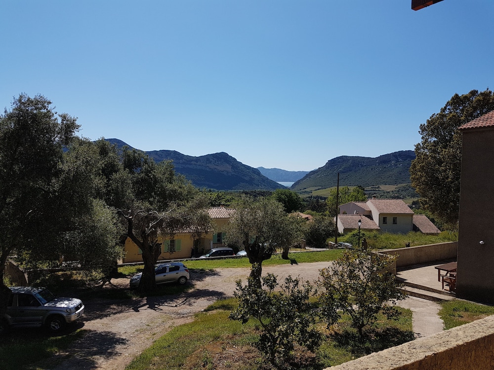 A Casa Di L'Alivu