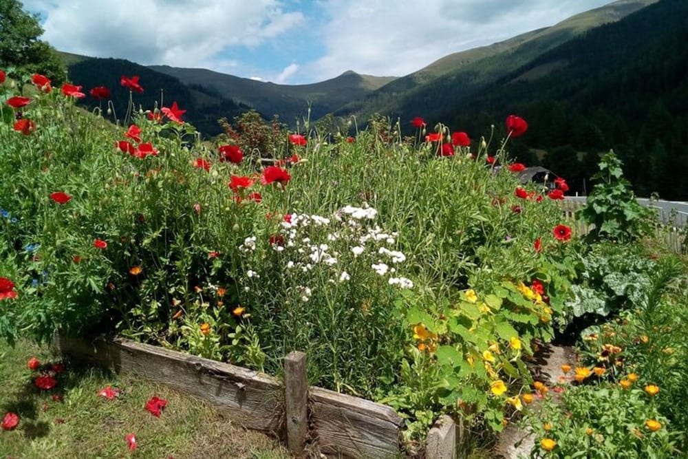 Holiday Home in Bad Kleinkirchheim