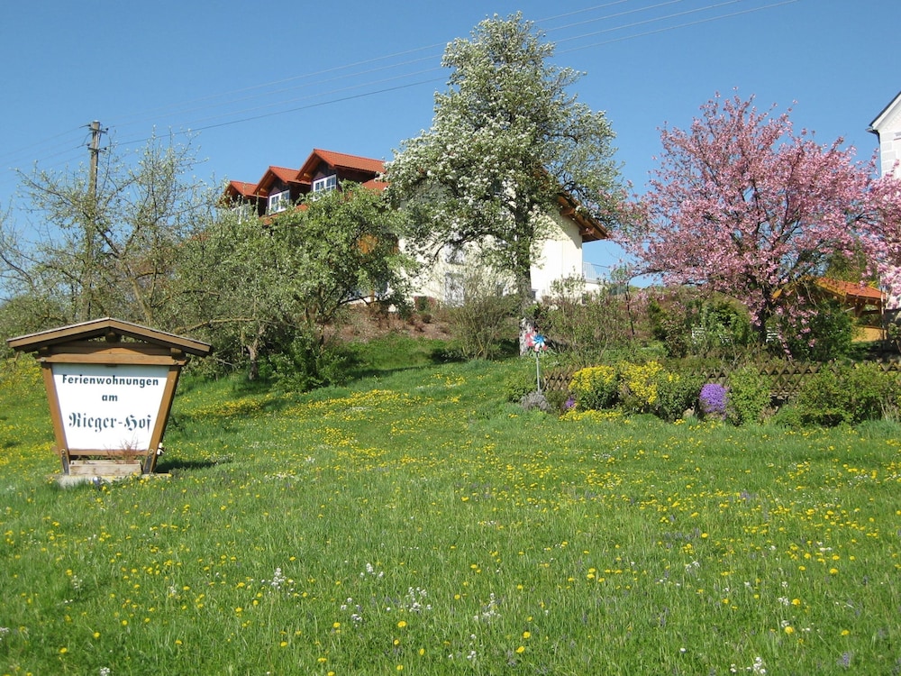 Comfortable Apartments in Rotthalmunster, photo 26