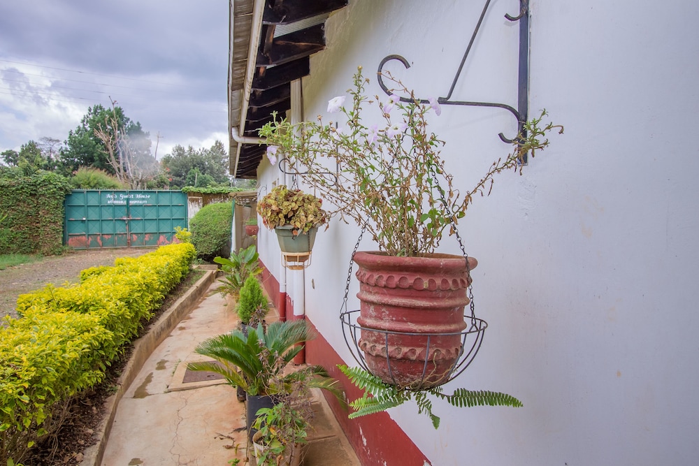 Ivys Inn Guest House