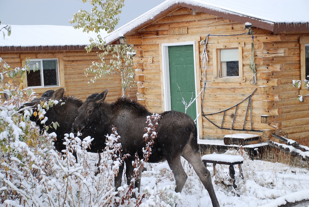 Earthsong Lodge