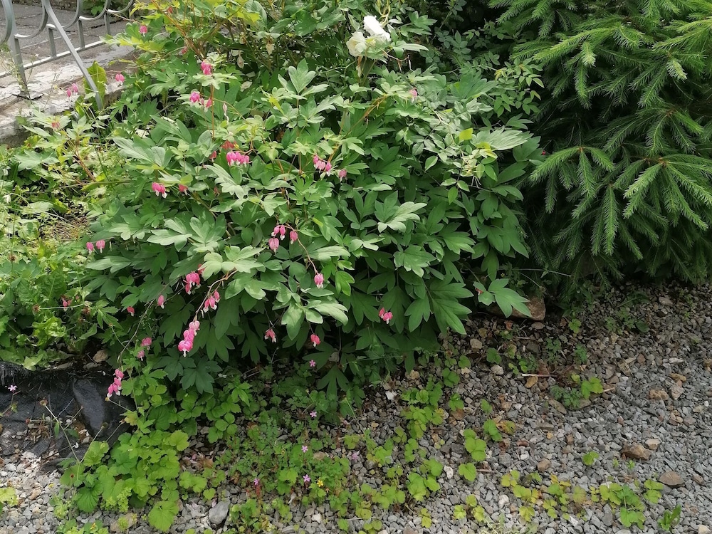 Photo 37