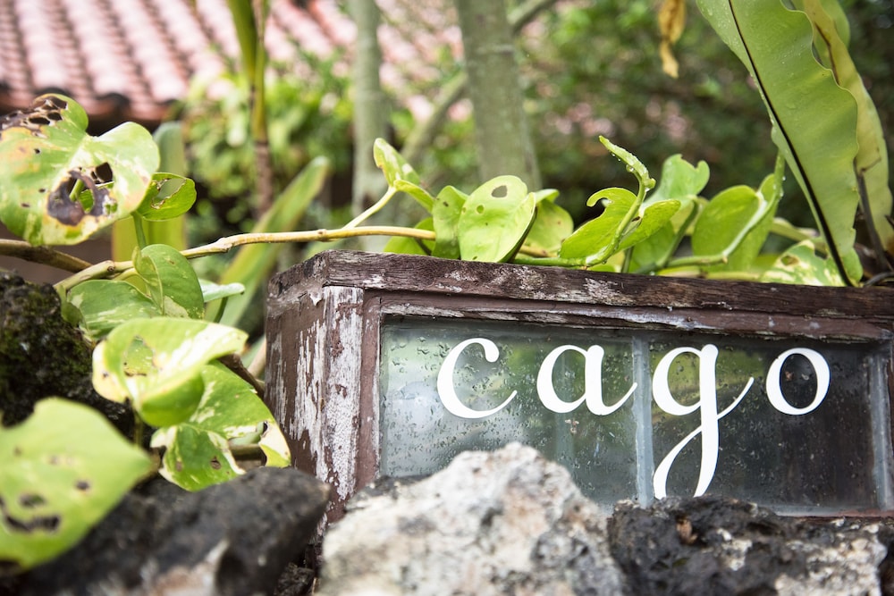 Guest house cago