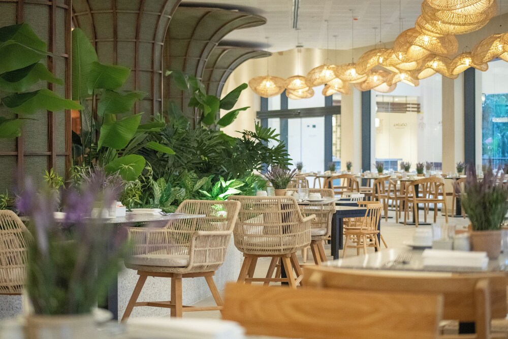 Catalonia Bayahibe - All Inclusive - Property Image 15