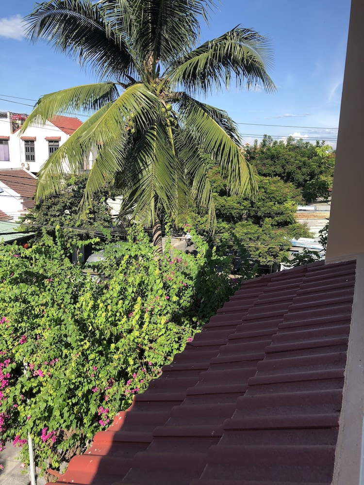 Three Palms Homestay