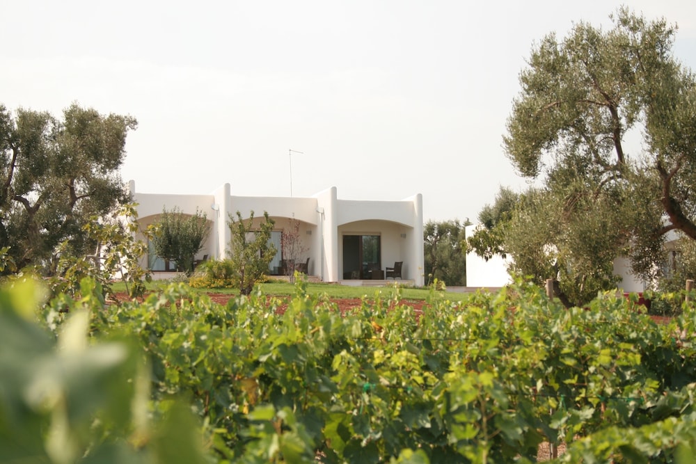 B&B La Vigna