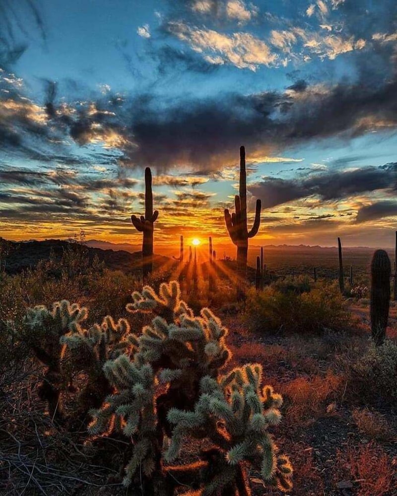5th #159 Ahwatukee