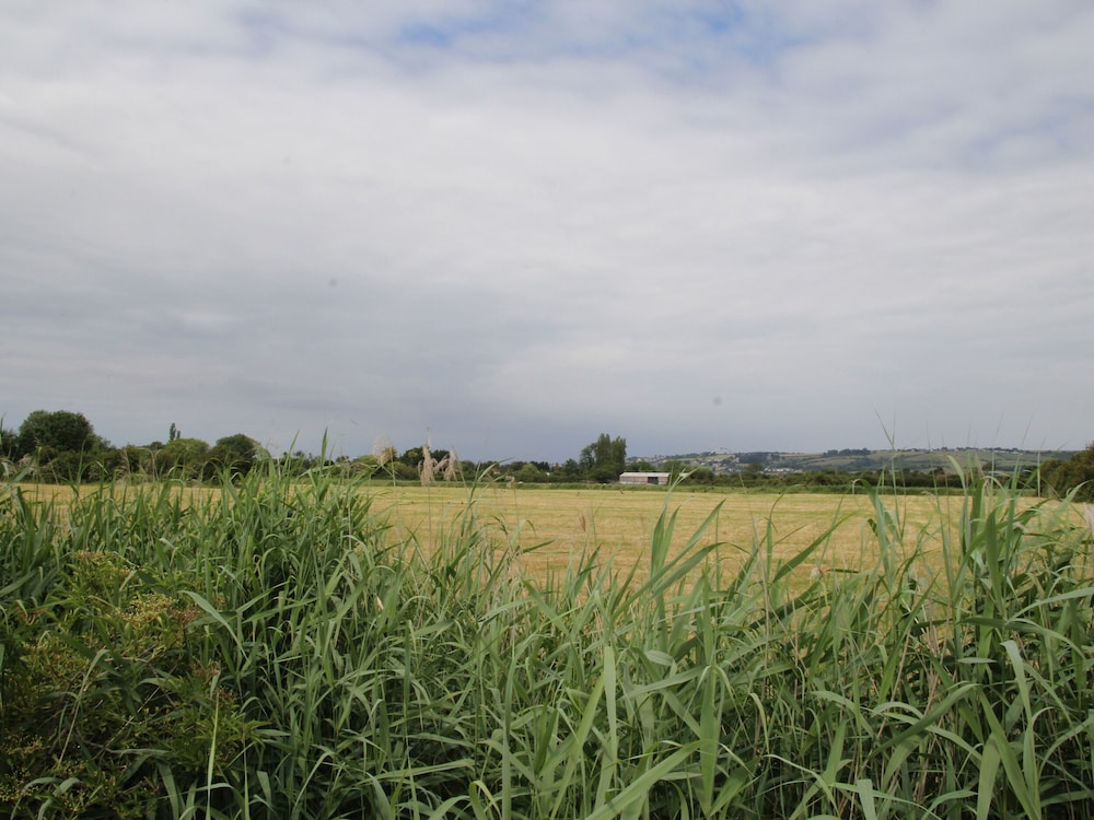 Photo 32