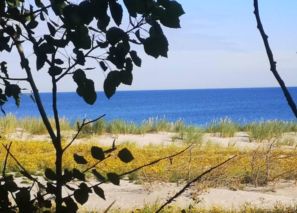 Reihenhaus mit Wlan in Buchholz am Muritzsee
