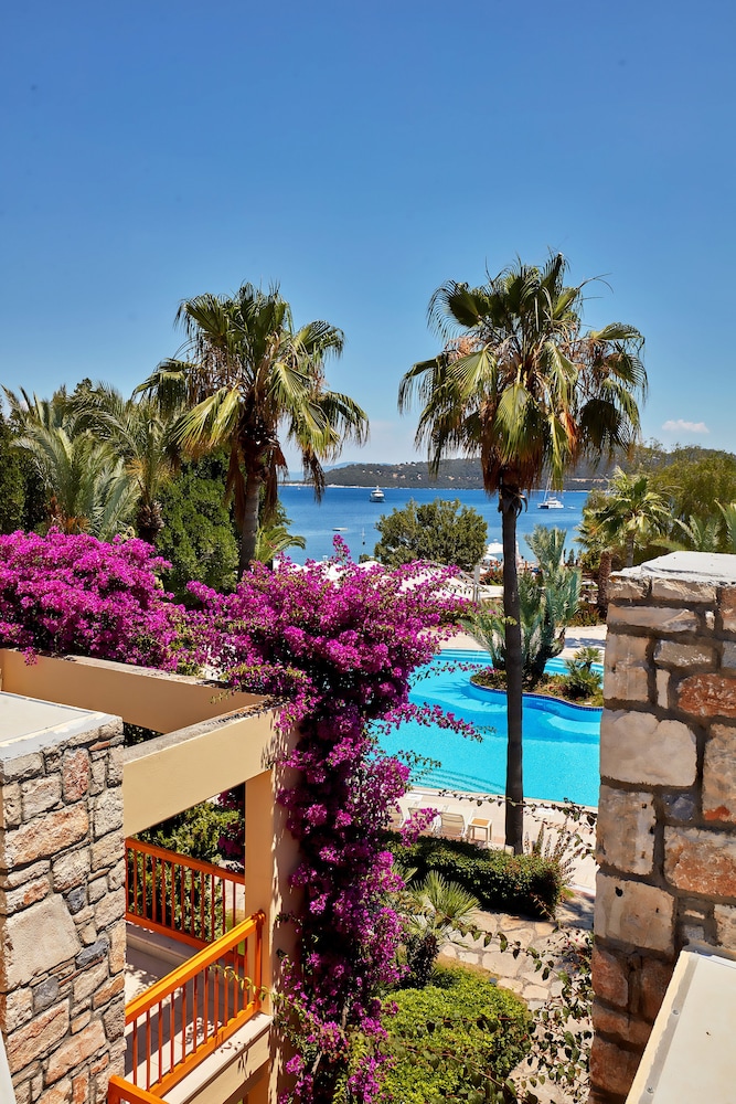 Divan Bodrum - Özel Sınıf - Image 80