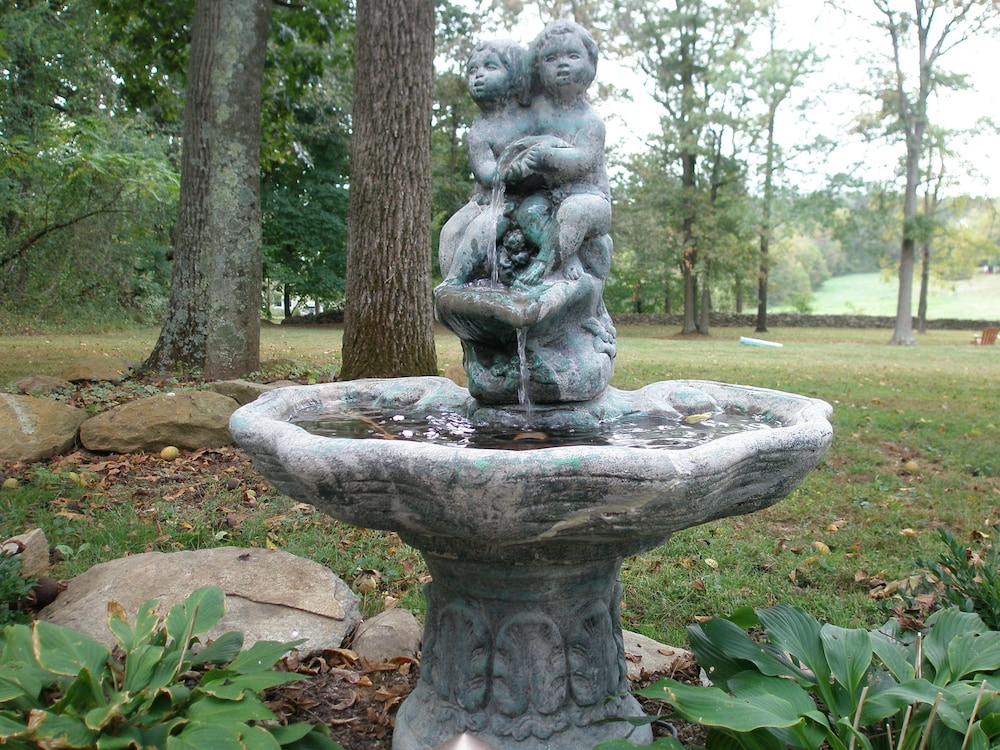 Photo 31