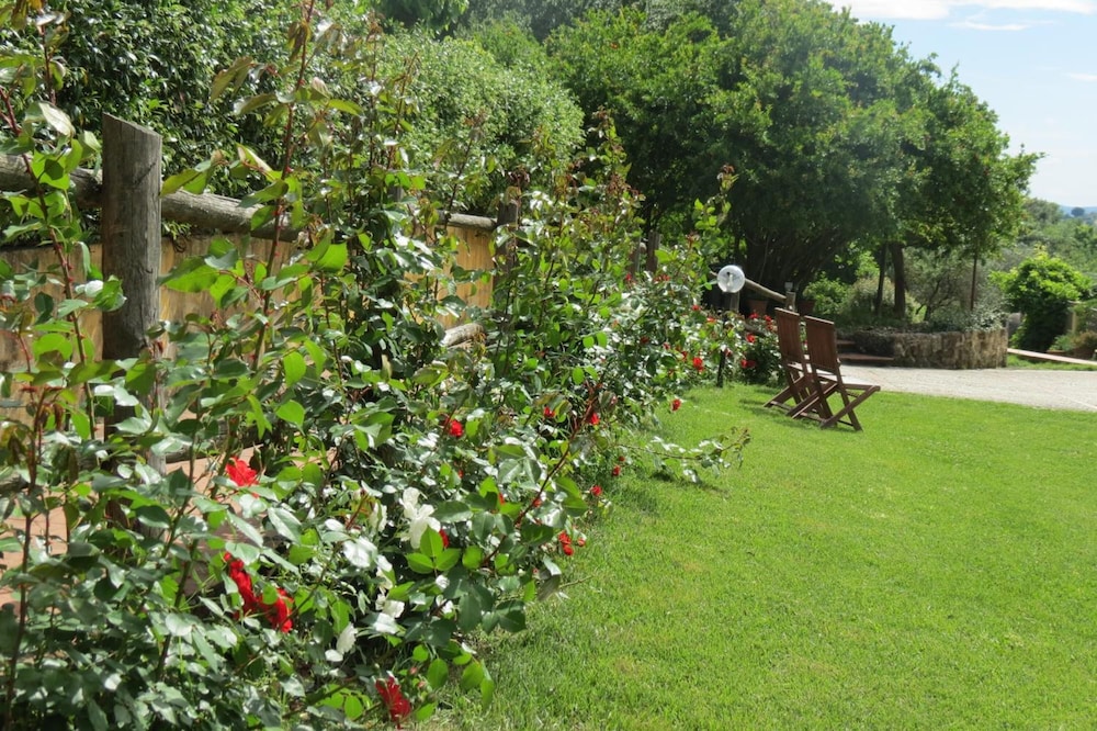 Photo 27
