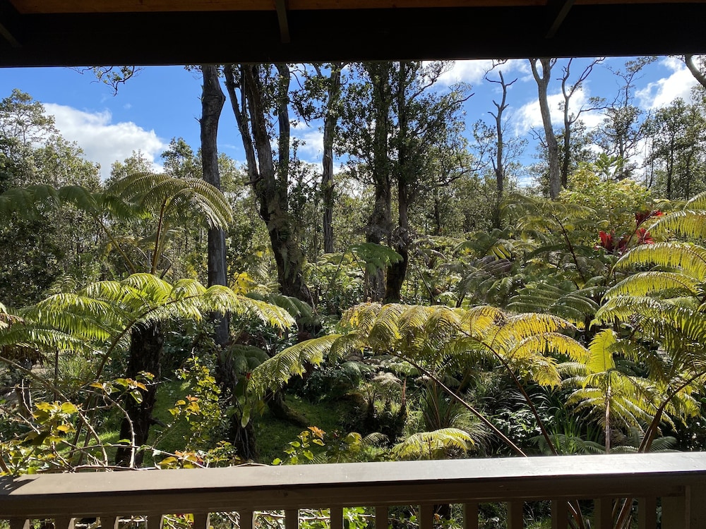 Volcano Rainforest Lodge