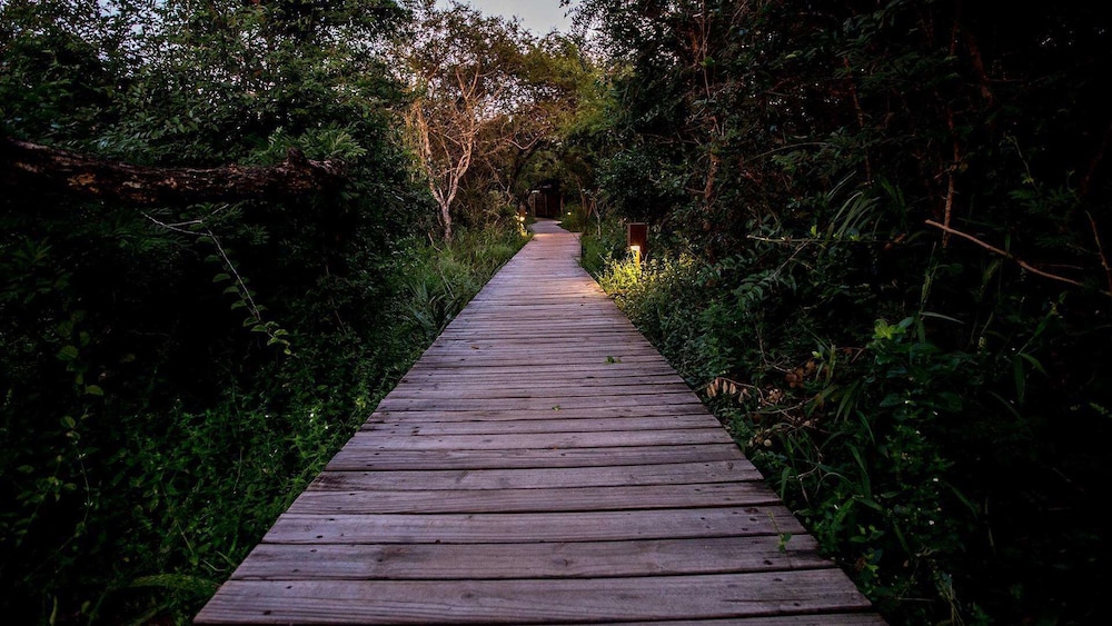 Royal Thonga Safari Lodge