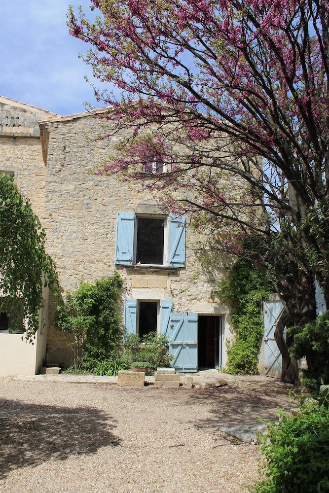 Chambres d'Hotes La Rose view 4