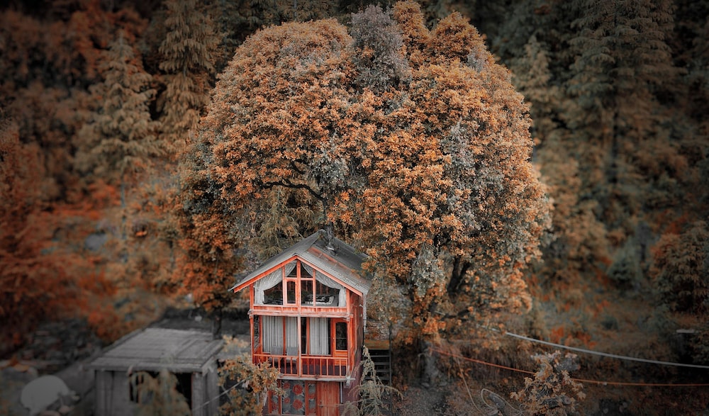 WOW Treehouse & Cottages