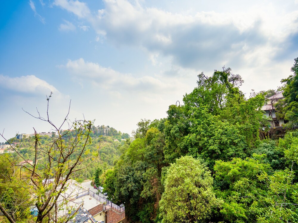OYO 14191 Home Studio Valley View Barlow Ganj