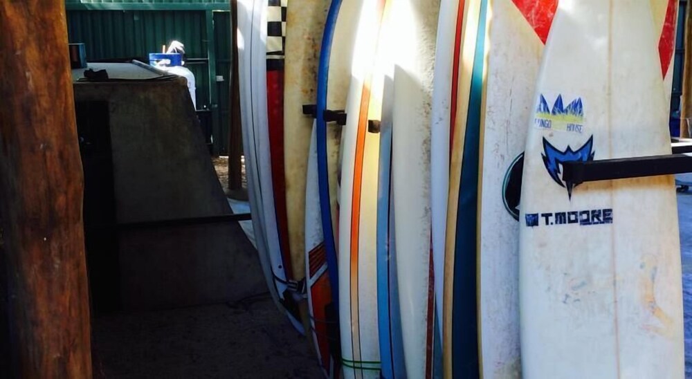 Coral Reef Surf Hostel