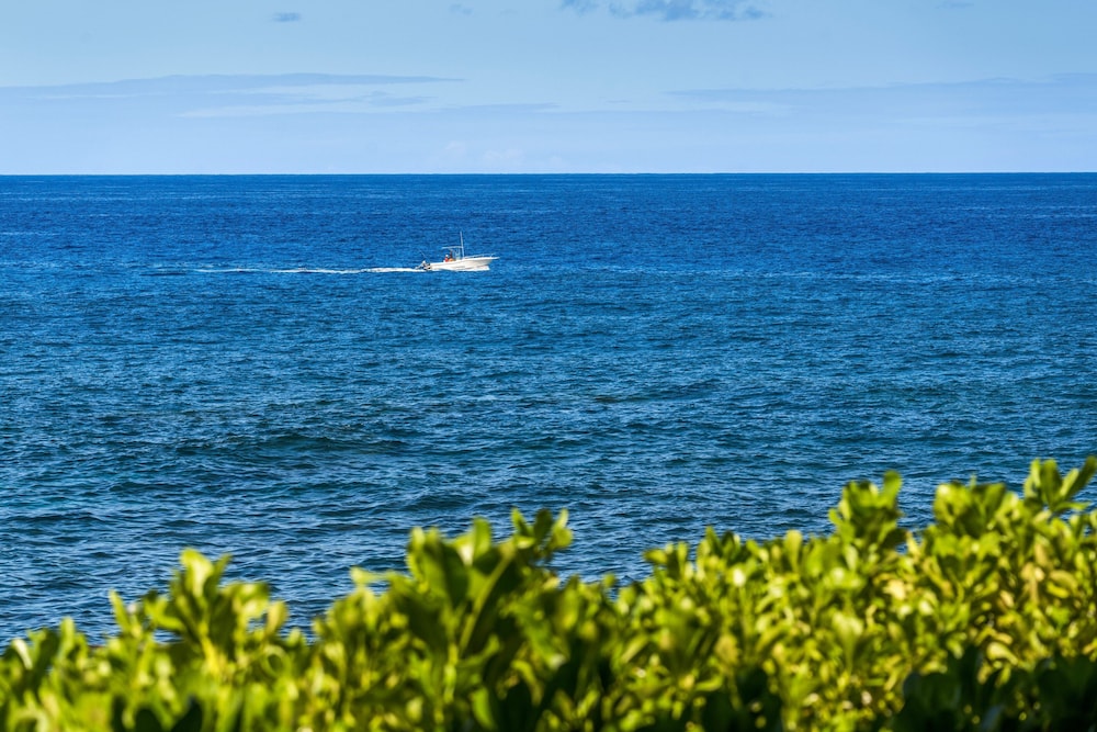 Fairway & Ocean Views - Updated Top Floor - AC- Vrkcv