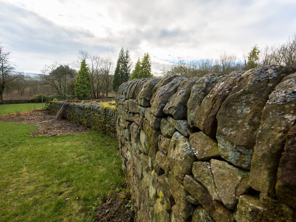 Queen Ann's Close