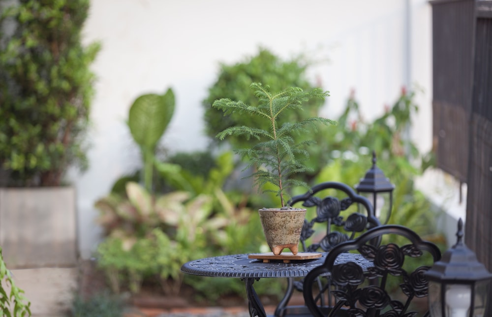 Nan Garden House
