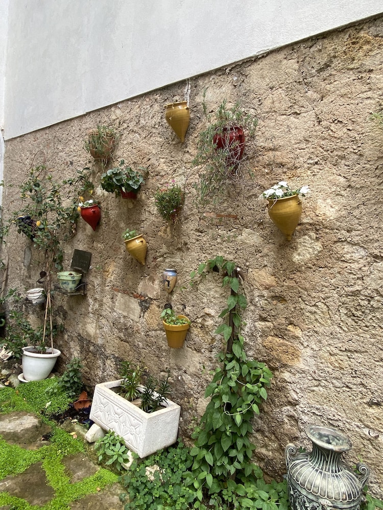 Villa Rosa Béziers, photo 87