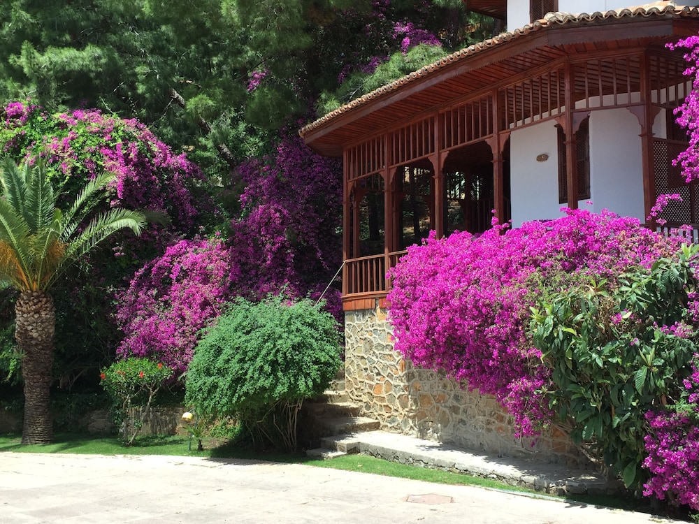 Club & Otel Letoonia - Image 42