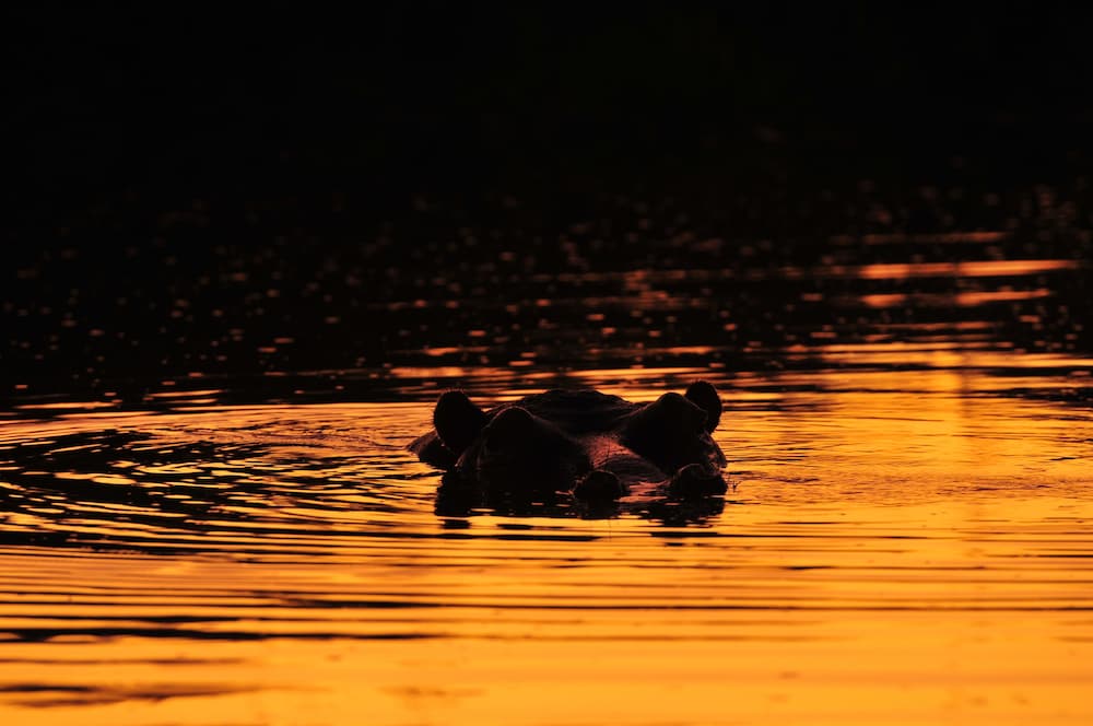 Inyati Game Lodge