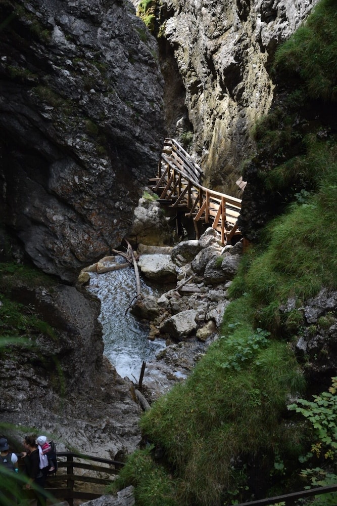 Schachneralm
