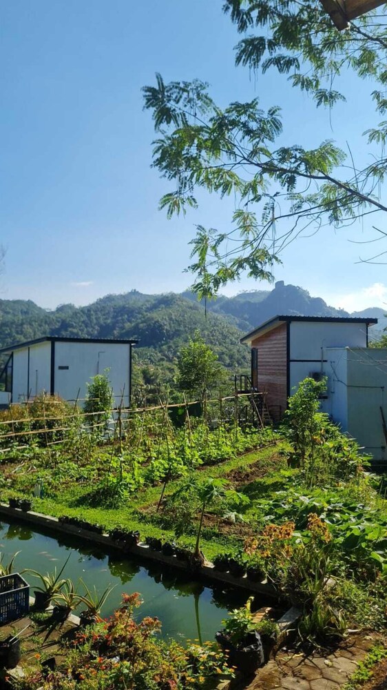 Menoreh Farm Stay Samigaluh Kulonprogo