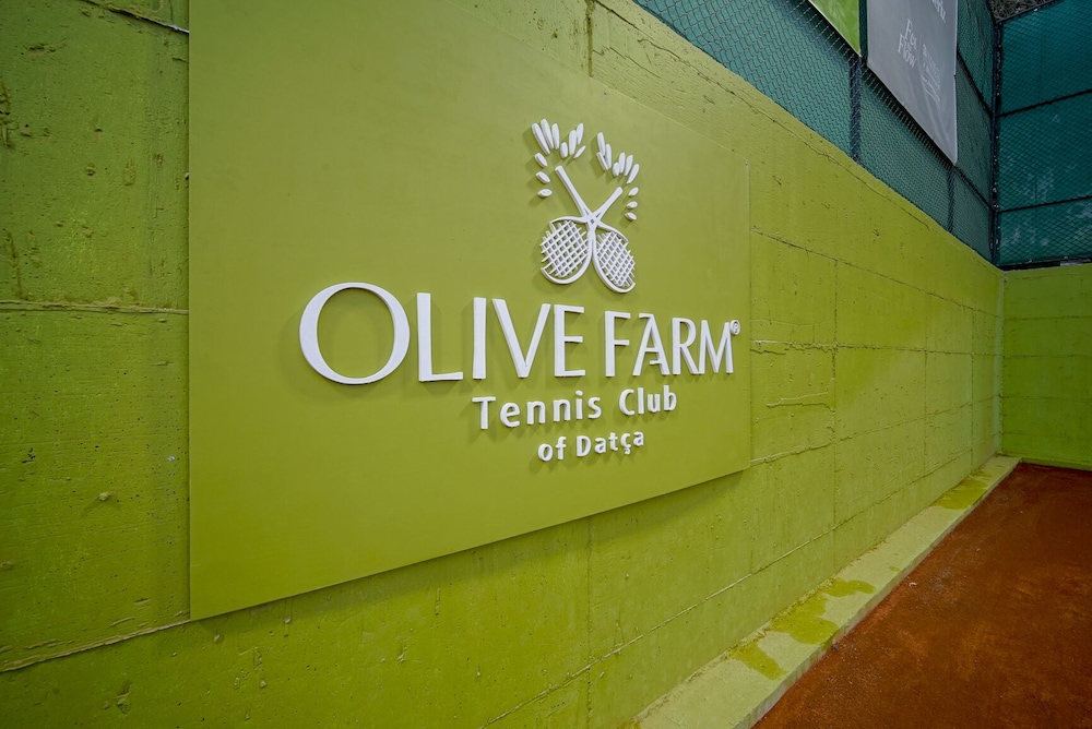 Olive Farm Of Datca