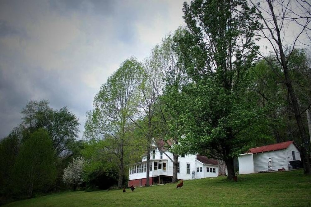Photo 43