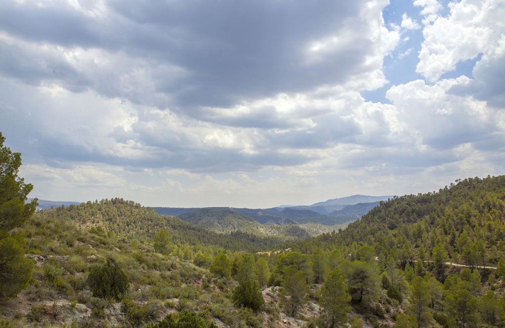 Confluent Health Resort - Property Image 2