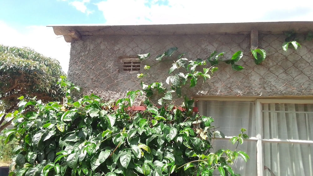 Garden Guest House Bed & Bre Chitungwiza view 5