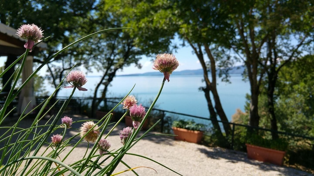 Camping Villaggio Cerquestra