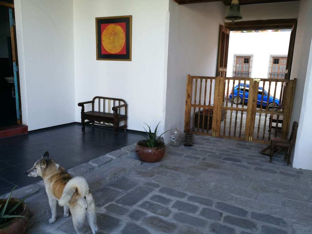 Photo 22