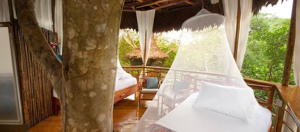 Treehouse Lodge