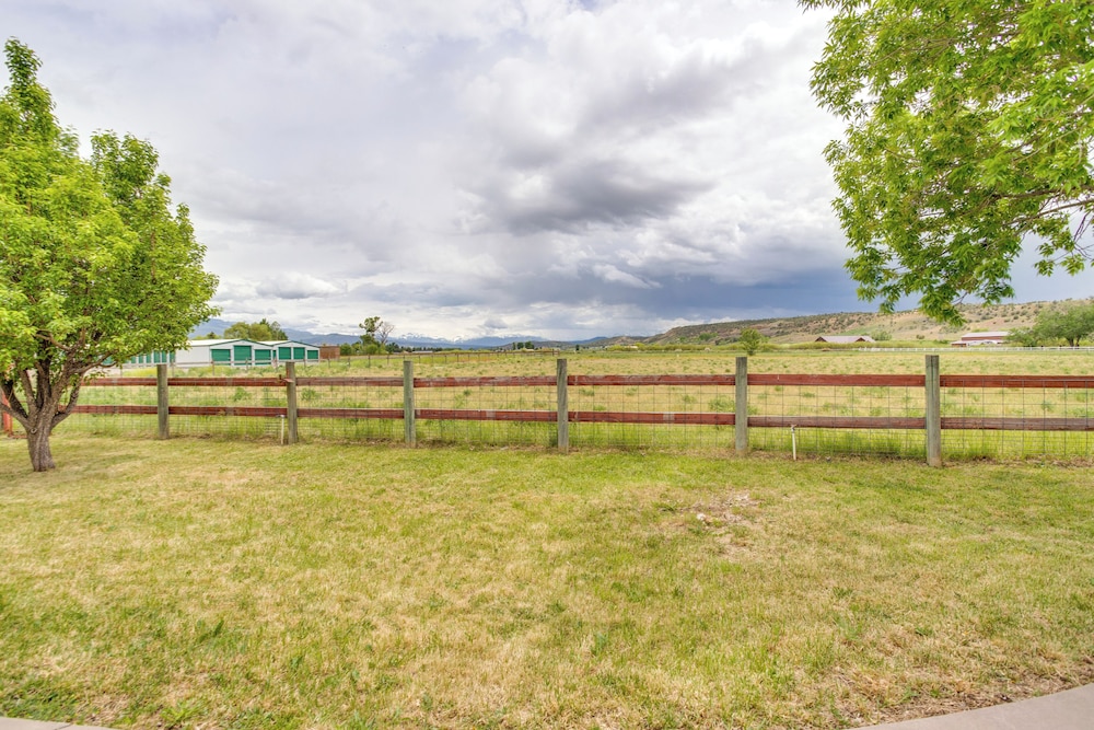 Montrose Family Home w/ Yard & Fruit Trees! view 4