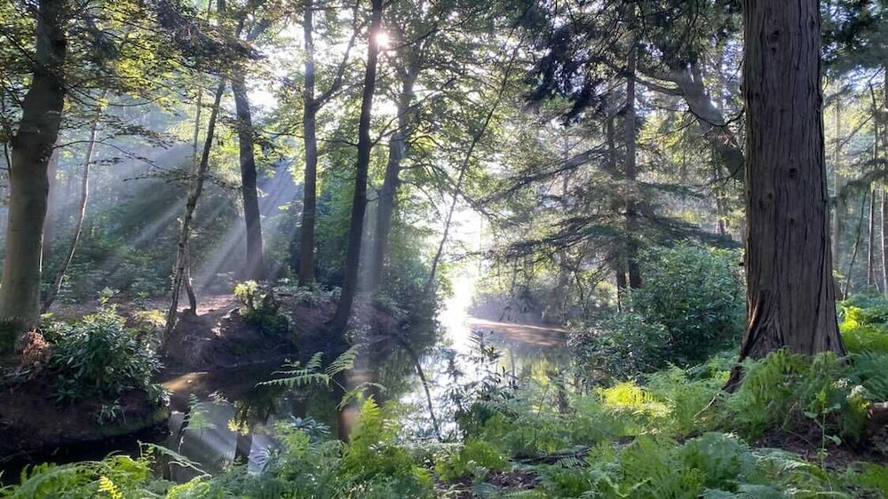 Boomkamp
