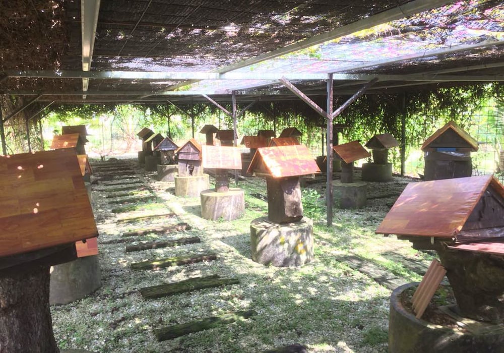 Kelulut Lodge